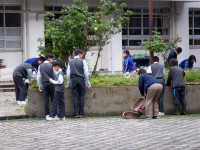 DSCF9756