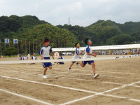 IMGP0290