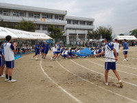 IMGP0483