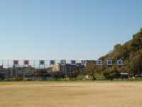 IMGP0367