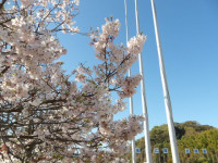 IMGP0374