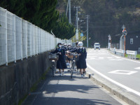 DSCF6316