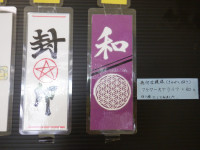 DSCF8246
