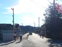 IMGP0003