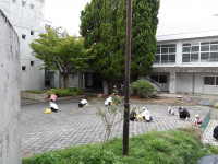IMGP0022