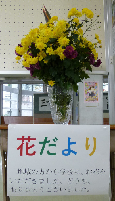 花だよりの花.docx