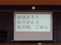 IMGP0053