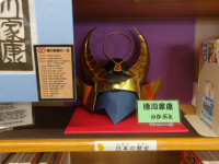 IMGP1556
