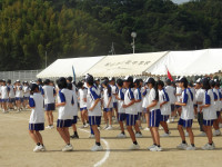 IMGP0028