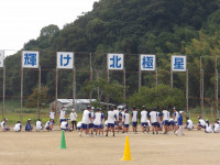 IMGP0061