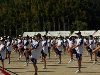 IMGP0135