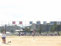 IMGP0206