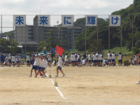 IMGP0207
