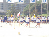 IMGP0208
