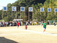 IMGP0335
