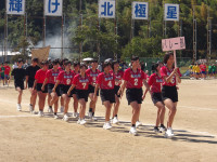 IMGP0417