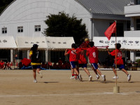 IMGP0501