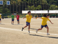 IMGP0517