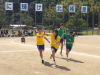 IMGP0529