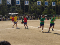 IMGP0519
